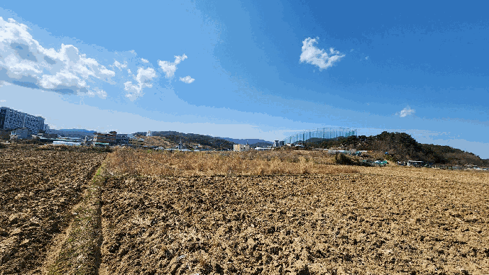 울산광역시 북구 달천동 521 답 경매 물건 사진