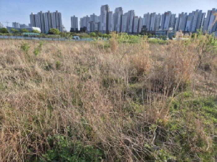 울산 북구 달천동 답 경매 물건 사진 6 · 2025타경1030