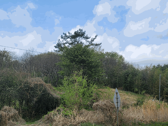 울산광역시 울주군 온양읍 외광리 4-13 임야 경매 물건 사진