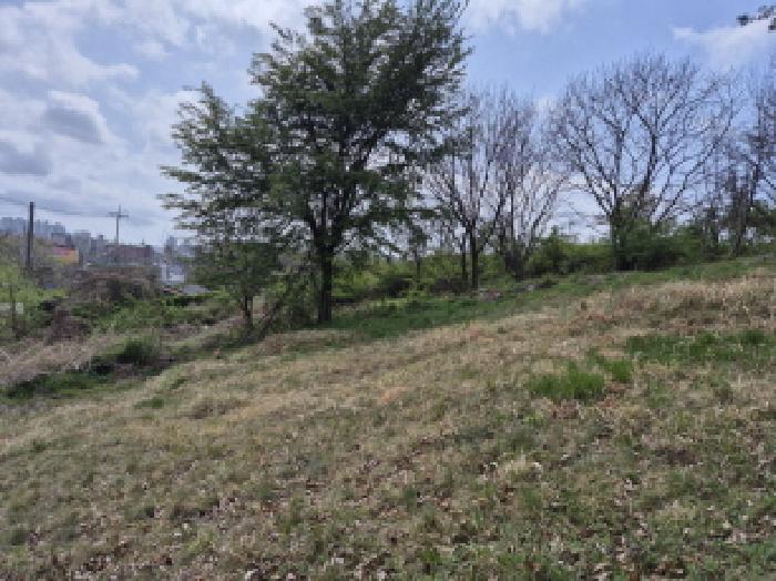 울산 울주군 온양읍 임야 경매 물건 사진 3 · 2025타경1040