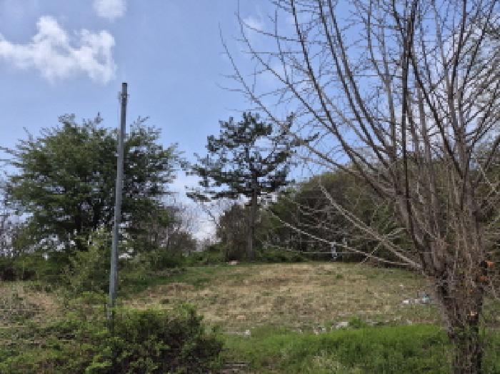 울산 울주군 온양읍 임야 경매 물건 사진 4 · 2025타경1040
