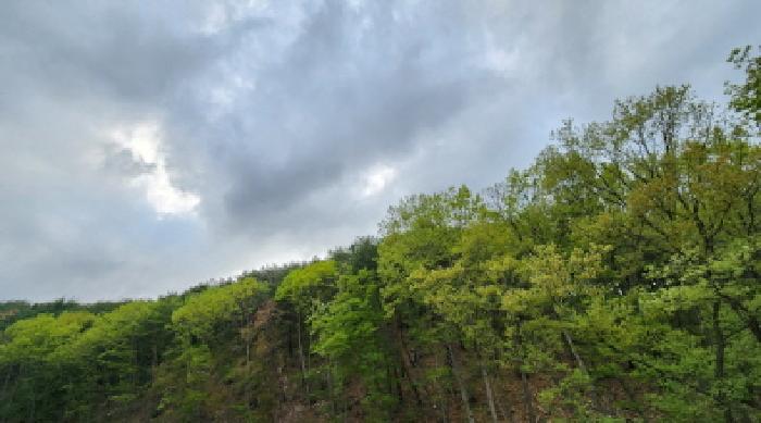 경남 양산시 용당동 임야 경매 물건 사진 5 · 2025타경1060