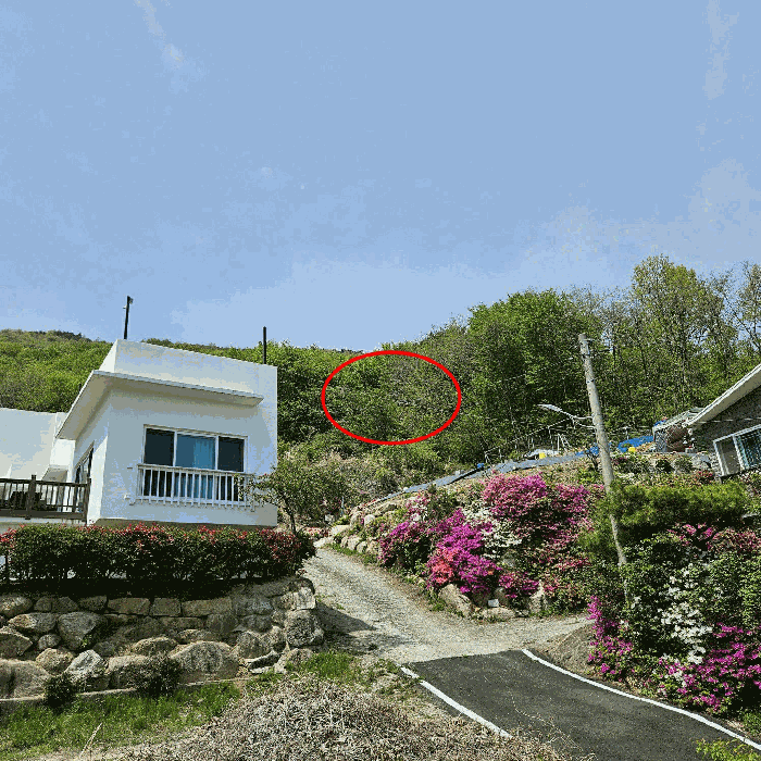 울산 울주군 웅촌면 임야 경매 물건 사진 6 · 2025타경1065