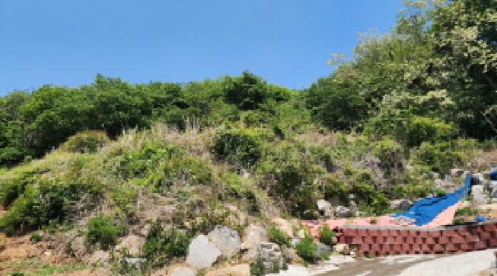 울산 울주군 웅촌면 임야 경매 물건 사진