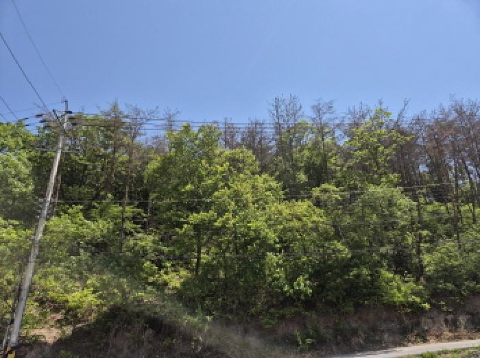 울산 울주군 온양읍 임야 경매 물건 사진 5 · 2025타경1068