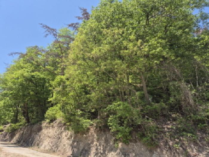 울산 울주군 온양읍 임야 경매 물건 사진 6 · 2025타경1068