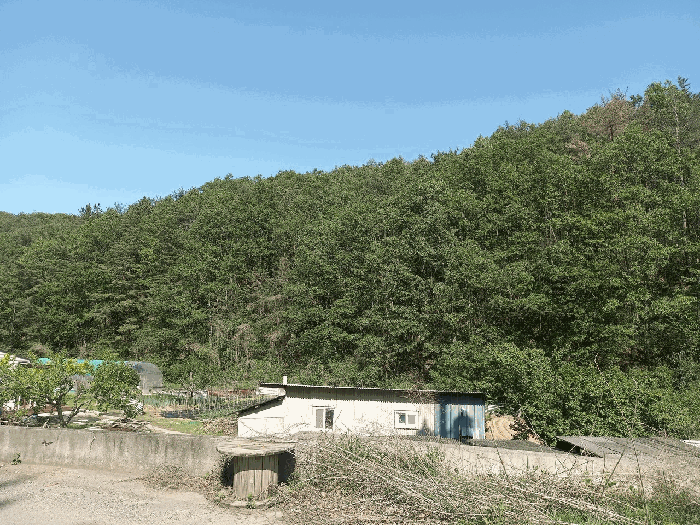 울산광역시 울주군 온양읍 외광리 산205 임야 경매 물건 사진