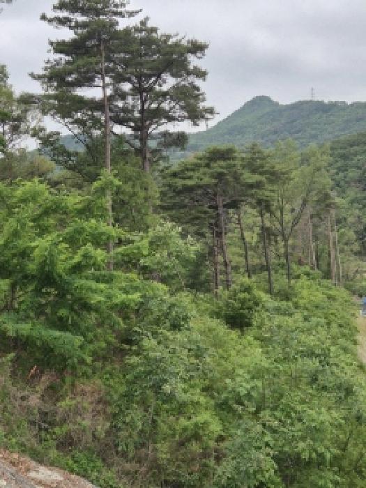 울산 울주군 온양읍 임야 경매 물건 사진 6 · 2025타경1085