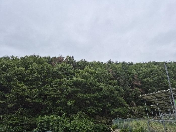 울산 울주군 온양읍 임야 경매 물건 사진 2 · 2025타경1085