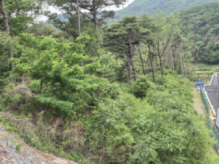울산 울주군 온양읍 임야 경매 물건 사진 5 · 2025타경1085