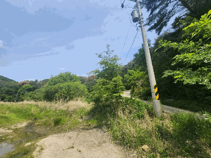 울산광역시 북구 상안동 157-1 대지,임야,전답 경매 물건 사진