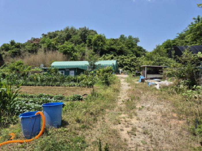 울산 북구 상안동 대지,임야,전답 경매 물건 사진