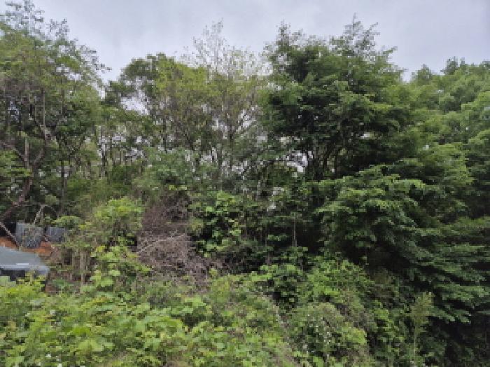 울산 울주군 온산읍 임야 경매 물건 사진 2 · 2025타경1098