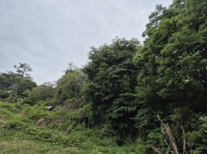 울산 울주군 온산읍 임야 경매 물건 사진 3 · 2025타경1098