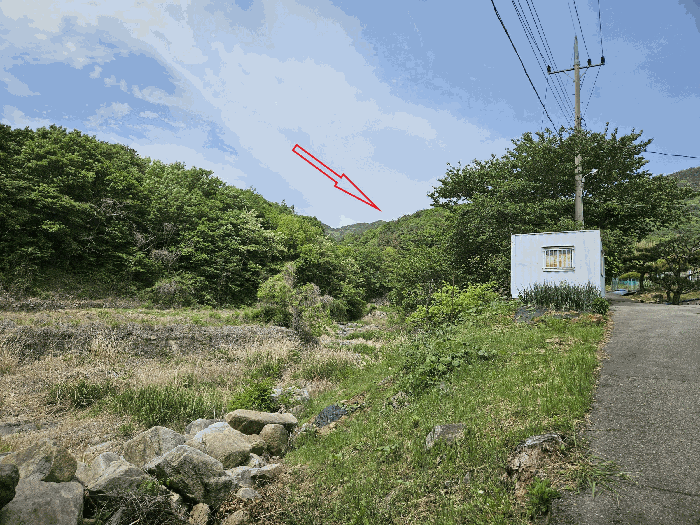 울산 울주군 웅촌면 임야 경매 물건 사진 4 · 2025타경1100