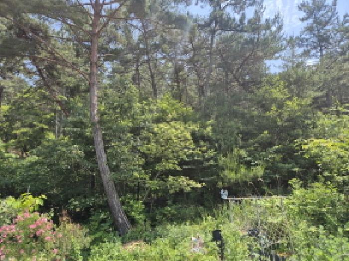 울산 울주군 서생면 임야 경매 물건 사진 3 · 2025타경1107