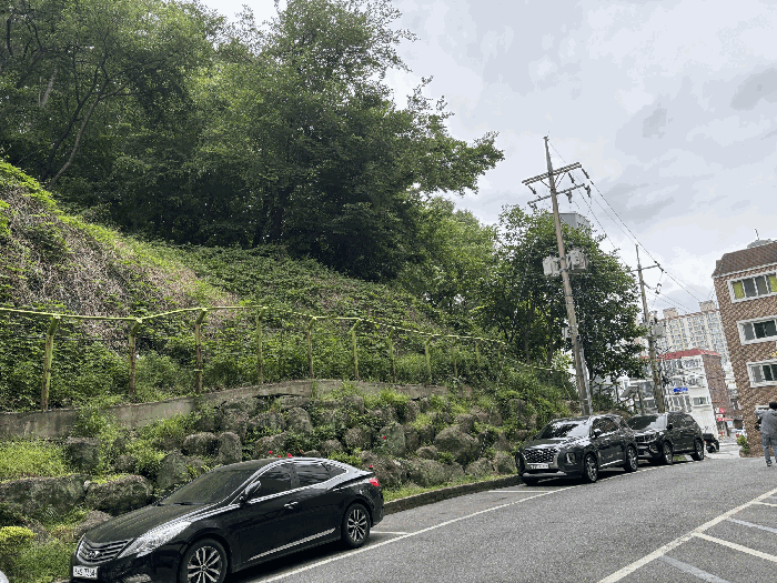 울산 남구 야음동 임야 경매 물건 사진 6 · 2025타경1119