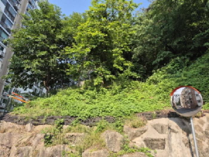 울산 남구 야음동 임야 경매 물건 사진 2 · 2025타경1119