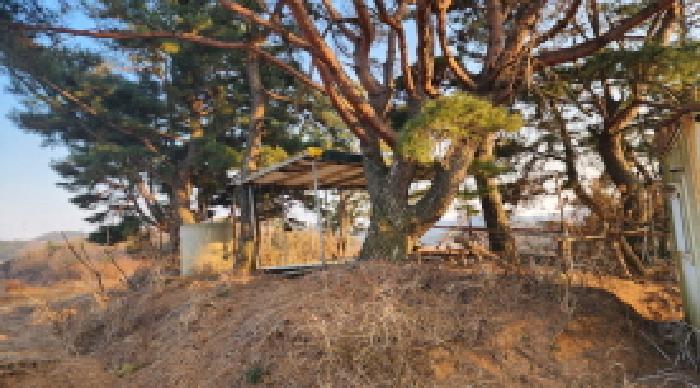 울산 울주군 두서면 임야 경매 물건 사진 4 · 2025타경11294