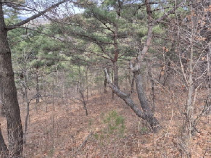 울산 북구 달천동 임야 경매 물건 사진 2 · 2025타경11339