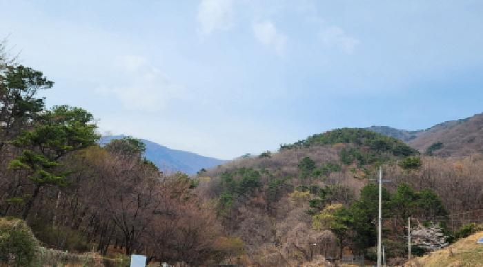 경남 양산시 평산동 전 경매 물건 사진 2 · 2025타경11481