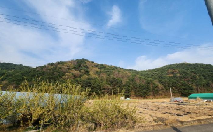 울산 울주군 상북면 임야 경매 물건 사진