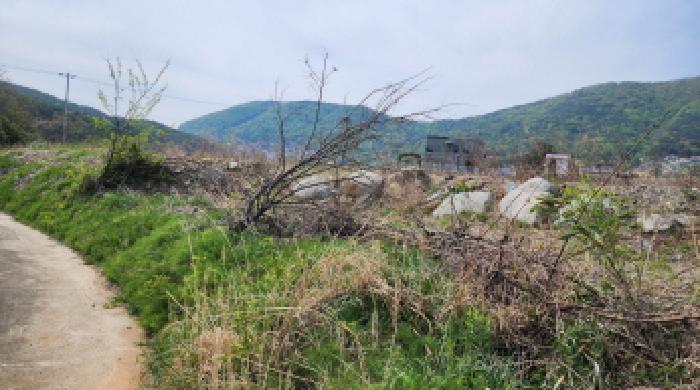 울산 울주군 두동면 답 경매 물건 사진 4 · 2025타경11545