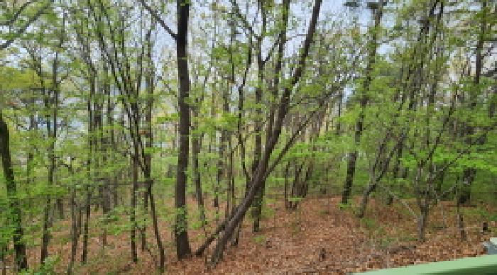 울산 울주군 웅촌면 임야 경매 물건 사진 2 · 2025타경11572