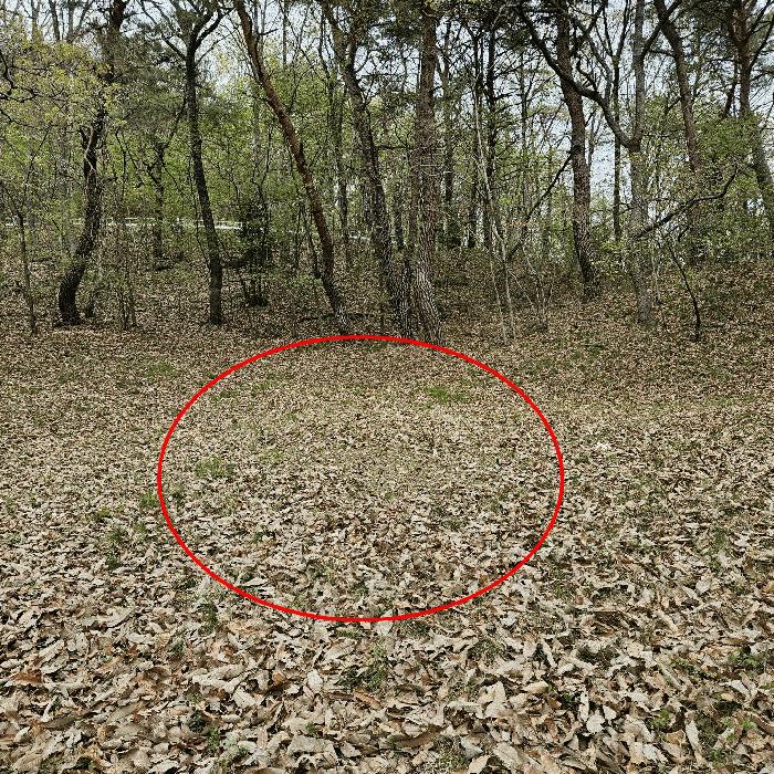 울산 울주군 웅촌면 임야 경매 물건 사진