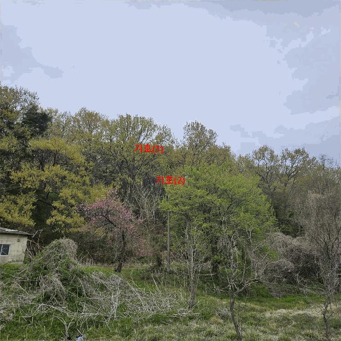 울산 울주군 웅촌면 임야 경매 물건 사진 3 · 2025타경11572