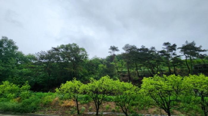 경남 양산시 원동면 도로 경매 물건 사진 5 · 2025타경11629