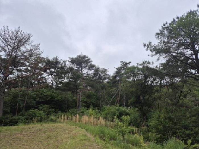 울산 울주군 온양읍 임야 경매 물건 사진 6 · 2025타경11636