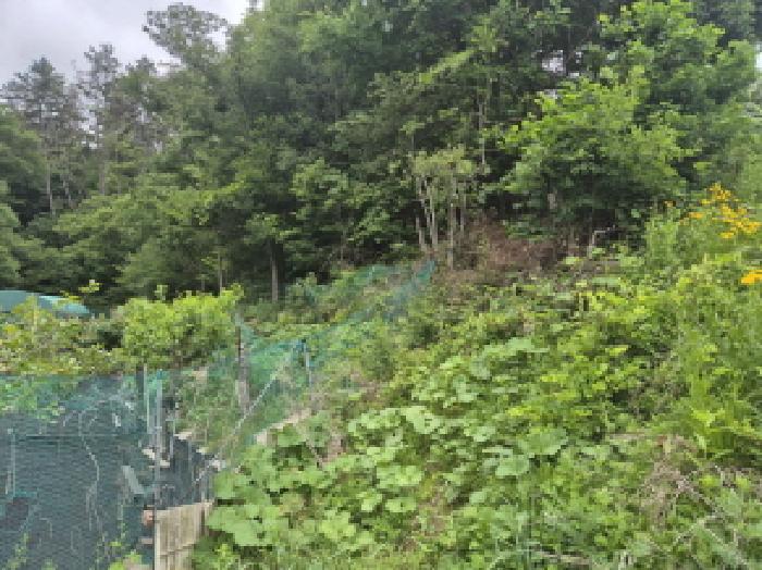 울산 울주군 온양읍 임야 경매 물건 사진