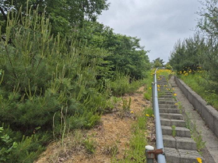 울산 울주군 온양읍 임야 경매 물건 사진 2 · 2025타경11636
