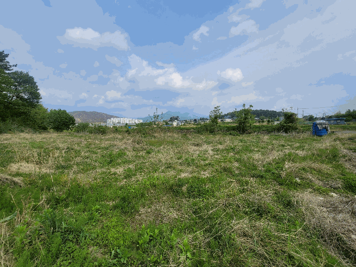 울산 울주군 언양읍 전 경매 물건 사진 6 · 2025타경11643