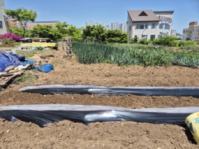 울산 북구 산하동 대지 경매 물건 사진 5 · 2025타경11649