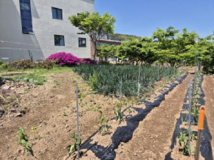 울산 북구 산하동 대지 경매 물건 사진 6 · 2025타경11649