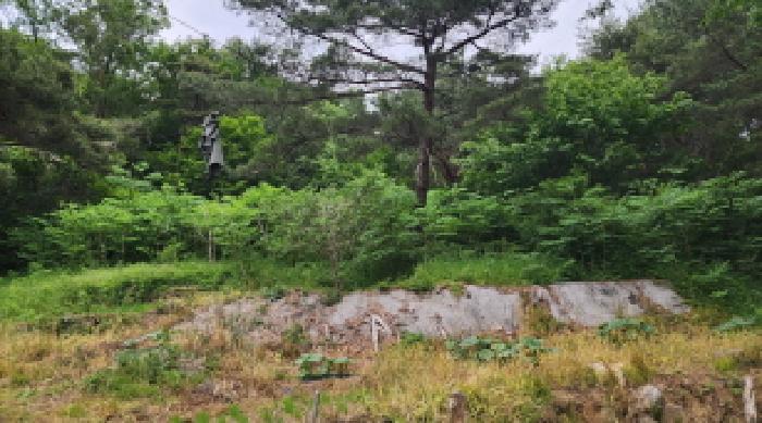 울산 울주군 상북면 답 경매 물건 사진