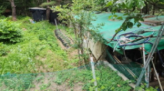 울산 울주군 상북면 답 경매 물건 사진 2 · 2025타경11681