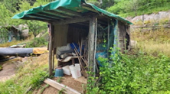 울산 울주군 상북면 답 경매 물건 사진 3 · 2025타경11681
