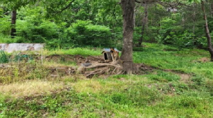 울산 울주군 상북면 답 경매 물건 사진 4 · 2025타경11681