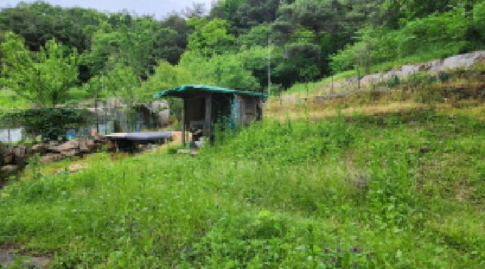 울산 울주군 상북면 답 경매 물건 사진 6 · 2025타경11681