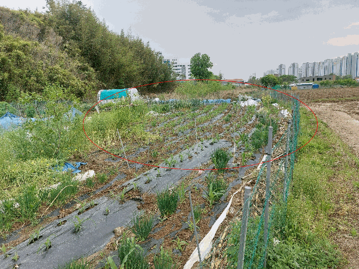 울산광역시 북구 천곡동 715 답 경매 물건 사진