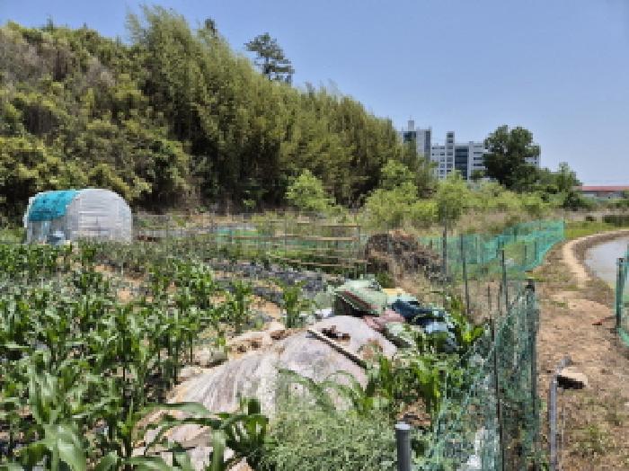 울산 북구 천곡동 답 경매 물건 사진 2 · 2025타경11707