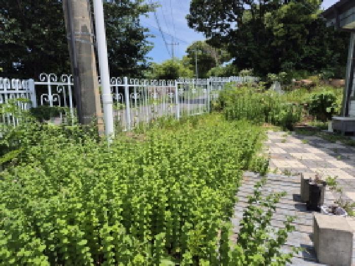 울산 울주군 서생면 임야 경매 물건 사진 5 · 2025타경1171