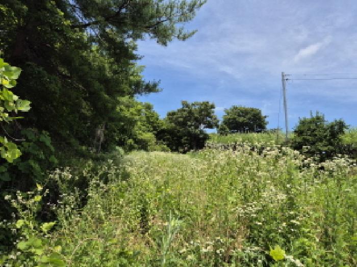 울산 울주군 서생면 임야 경매 물건 사진 6 · 2025타경1171