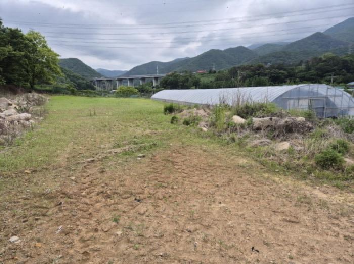 울산 울주군 온양읍 동물및식물관련시설 경매 물건 사진 3 · 2025타경11711