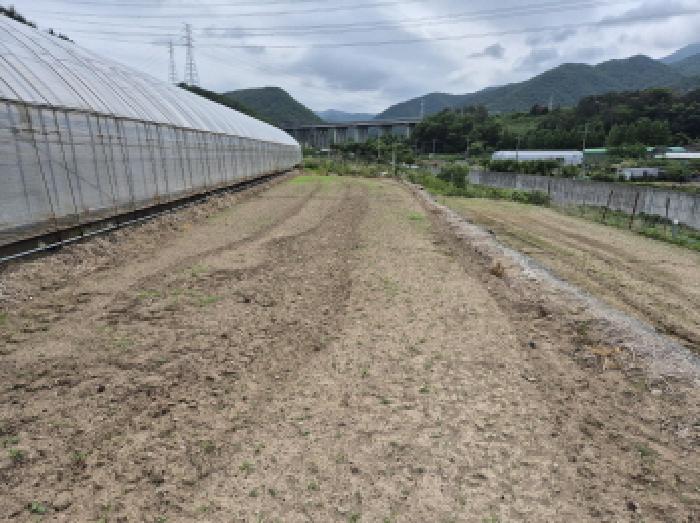 울산 울주군 온양읍 동물및식물관련시설 경매 물건 사진 5 · 2025타경11711