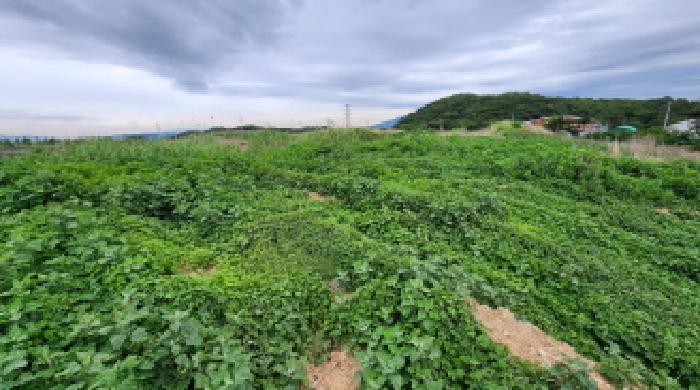 울산 울주군 삼남읍 답 경매 물건 사진