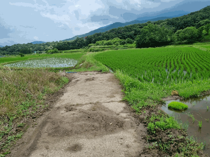 울산 울주군 상북면 답 경매 물건 사진 5 · 2025타경1174